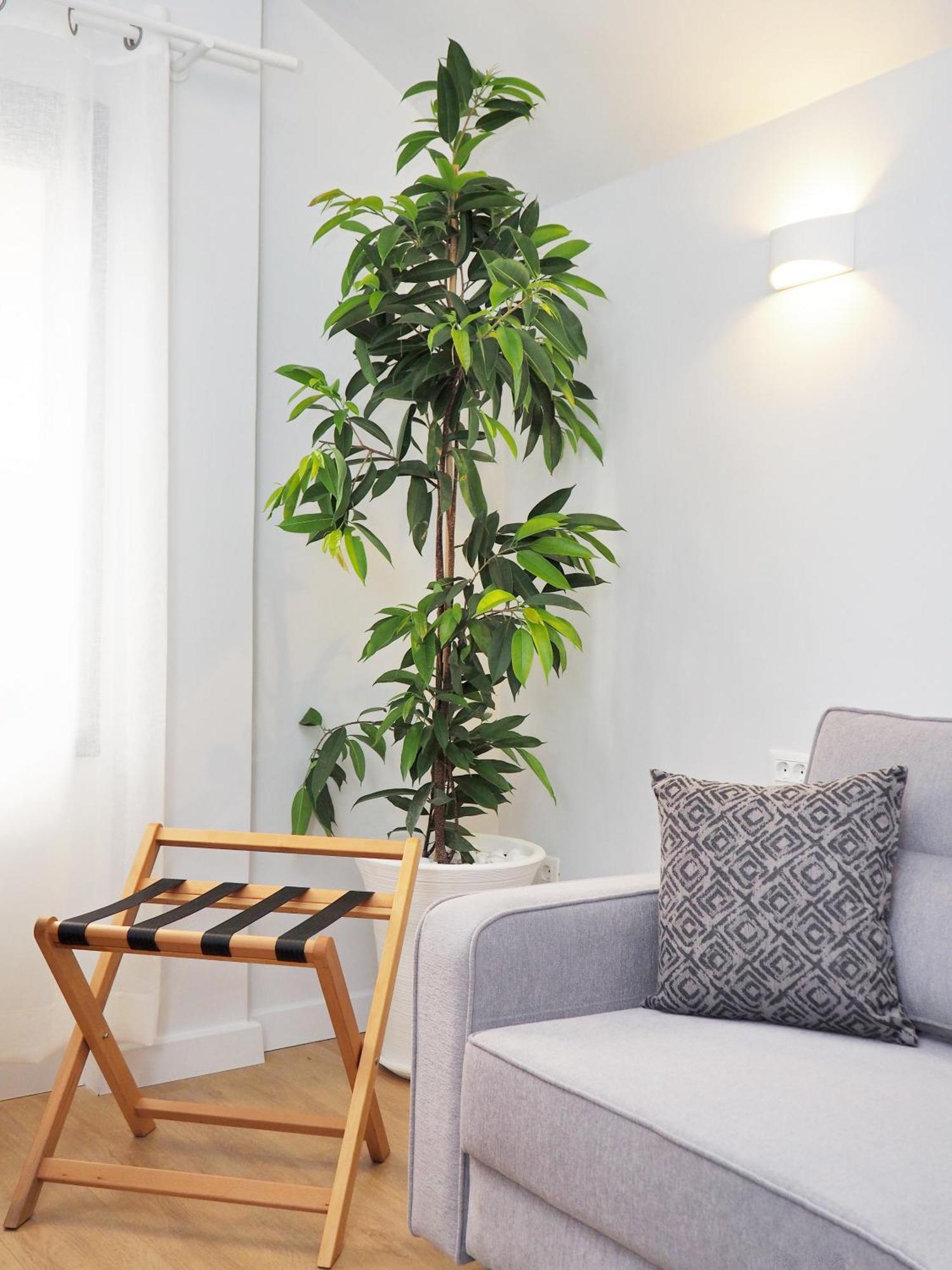 Times Elegant Rooms إرموبولّي المظهر الخارجي الصورة